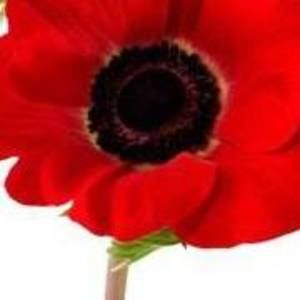 Meet your Posher, Raymond